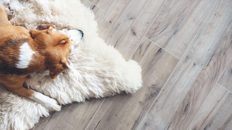 Hardwood floor and laminate floor installation and refinishing, LUKS Construction Seattle, Bellevue, Redmond, Mercer Island, Sammamish, Issaquah